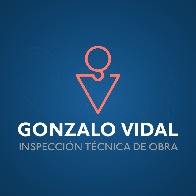 Gonzalo Vidal Inspección Técnica